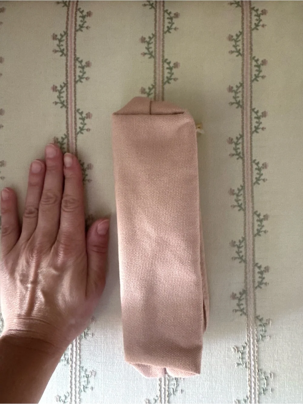 Ilia Makeup Bag - New